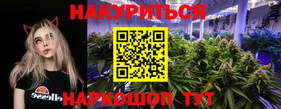шишки Краснодар