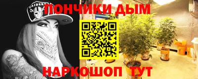 шишки Краснодар