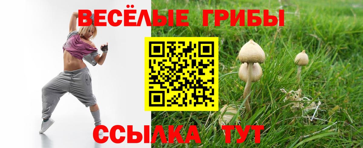 Псилоцибиновые грибы ЛСД  Галлюциногенные грибы MAGIC MUSHROOMS  Вход с VPN  Десногорск 
